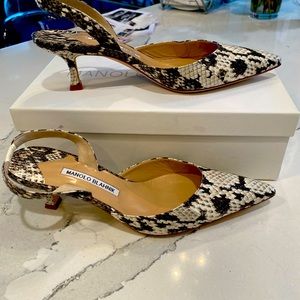Manolo Blahnik Carolyne Snakeskin shoes